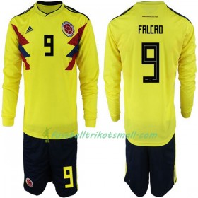 Fußballtrikots Kolumbien Falcao 9 Kinder WM 2018 Langarm Heimtrikotsatz kaufen